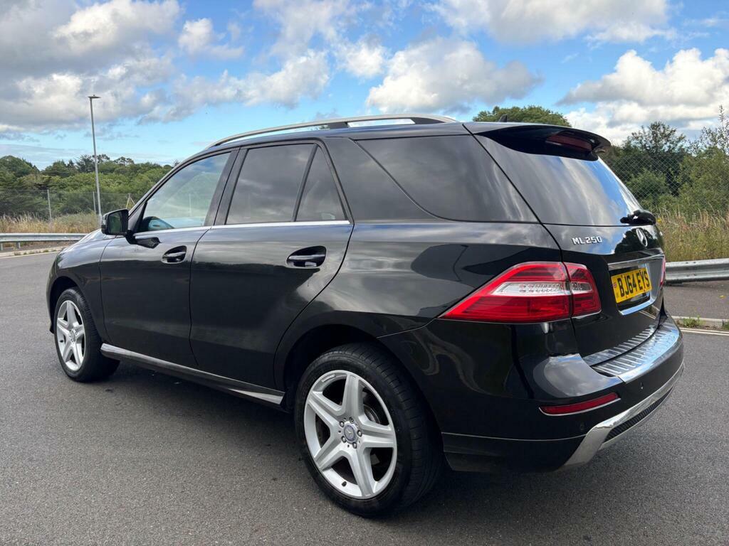 Mercedes-Benz M Class Suv 2.1 Ml250 Bluetec Se Executive G-tronic 4Wd Black #42
