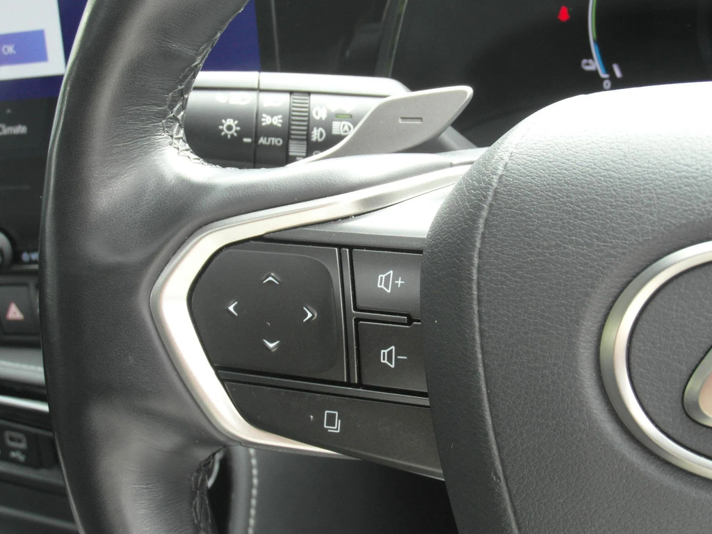 Lexus NX 450H 2.5 F-sport E-cvt Premium Plussunroof Blue #14