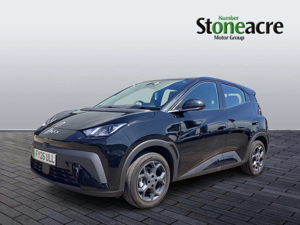Byd Dolphin 43.2Kwh Boost #3