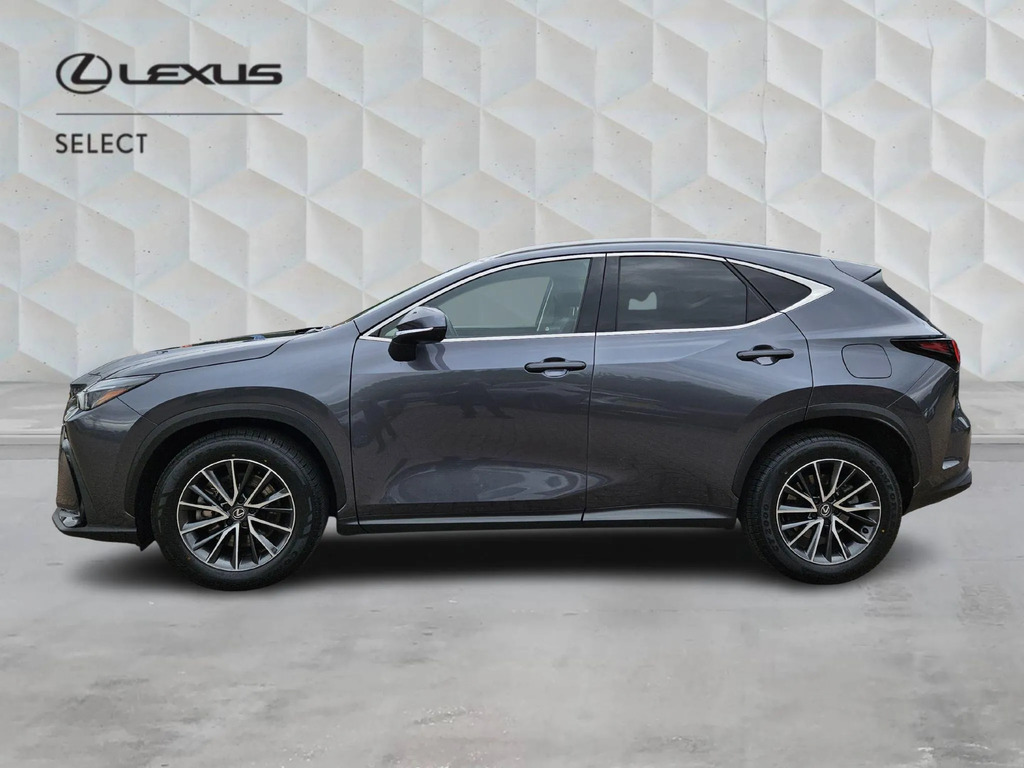 Lexus NX 2.5 450H 18.1Kwh Premium E-cvt 4Wd Euro 6 Ss 5 Grey #6