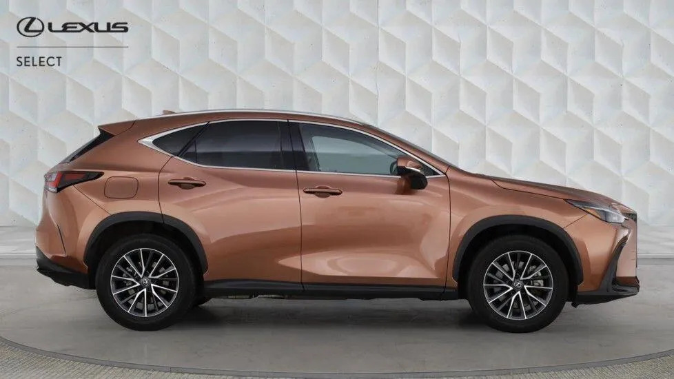 Lexus NX 2.5 450H 18.1Kwh Premium E-cvt 4Wd Euro 6 Ss  #2