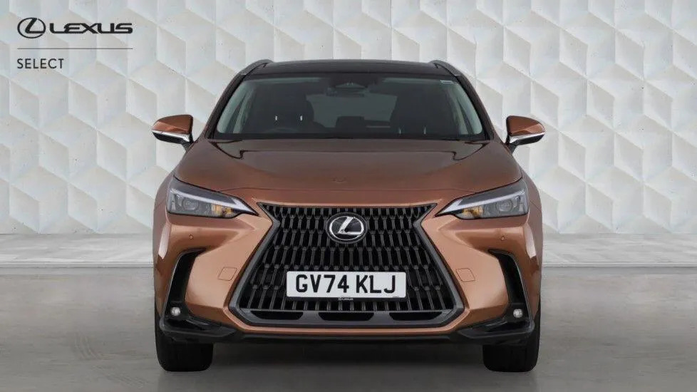 Lexus NX 2.5 450H 18.1Kwh F Sport Takumi Suv Pl Blue #7