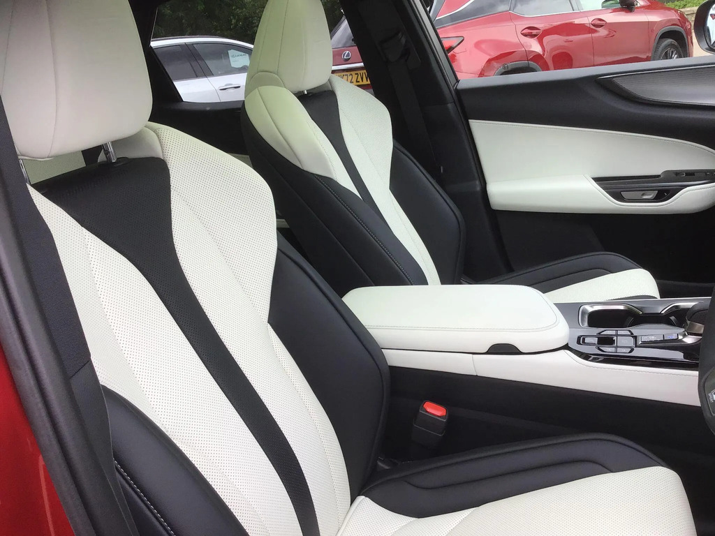 Lexus NX 450H 292 Premium Plus Grey #22