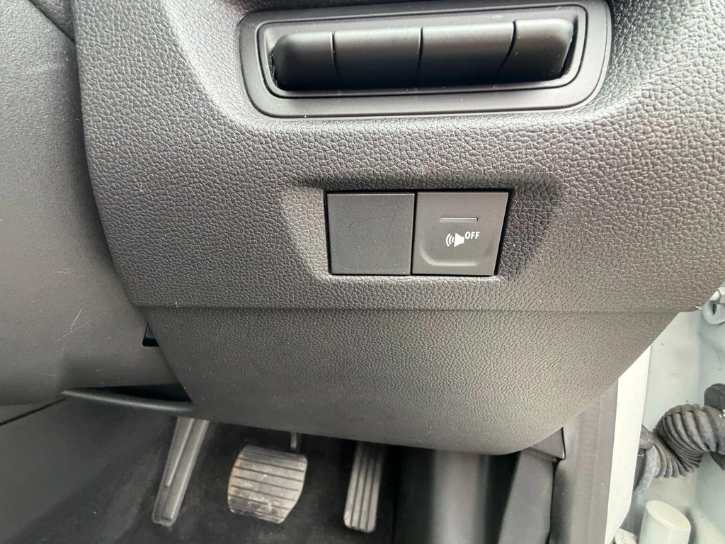 Renault Zoe Iconic Grey #19