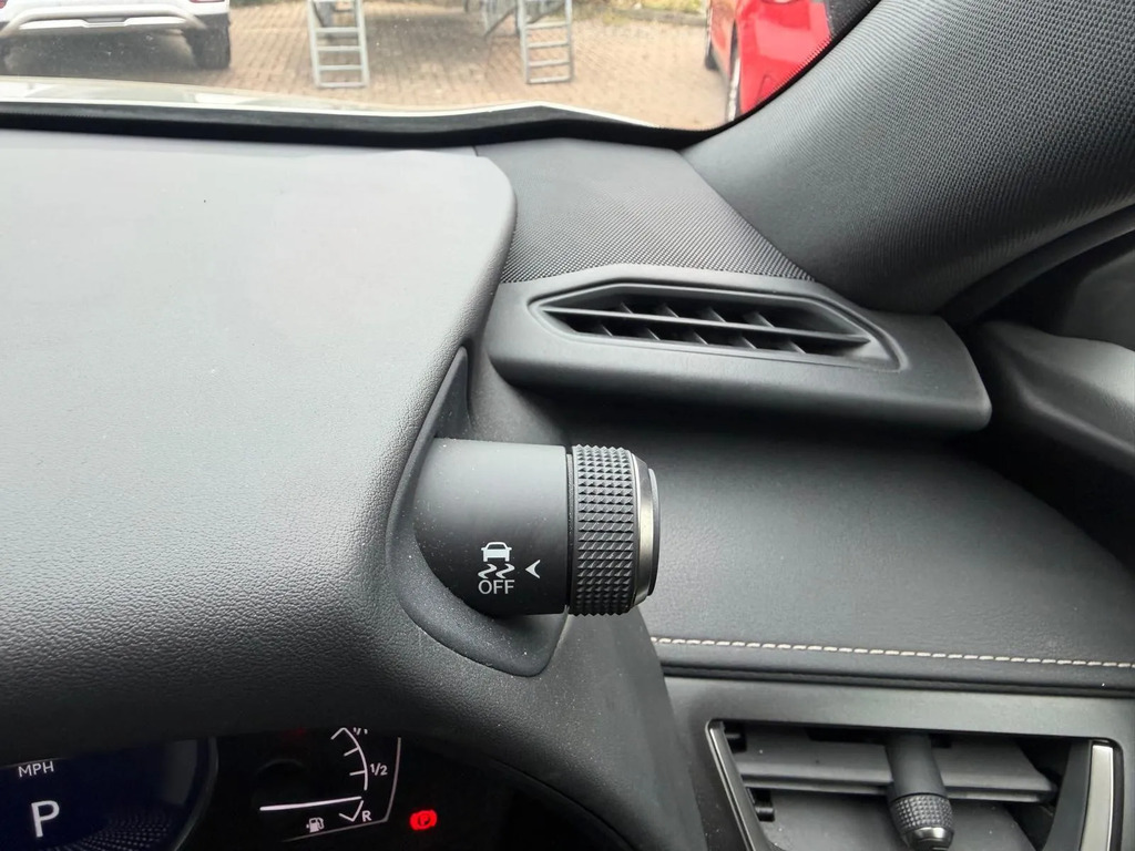 Lexus UX 300E Grey #12
