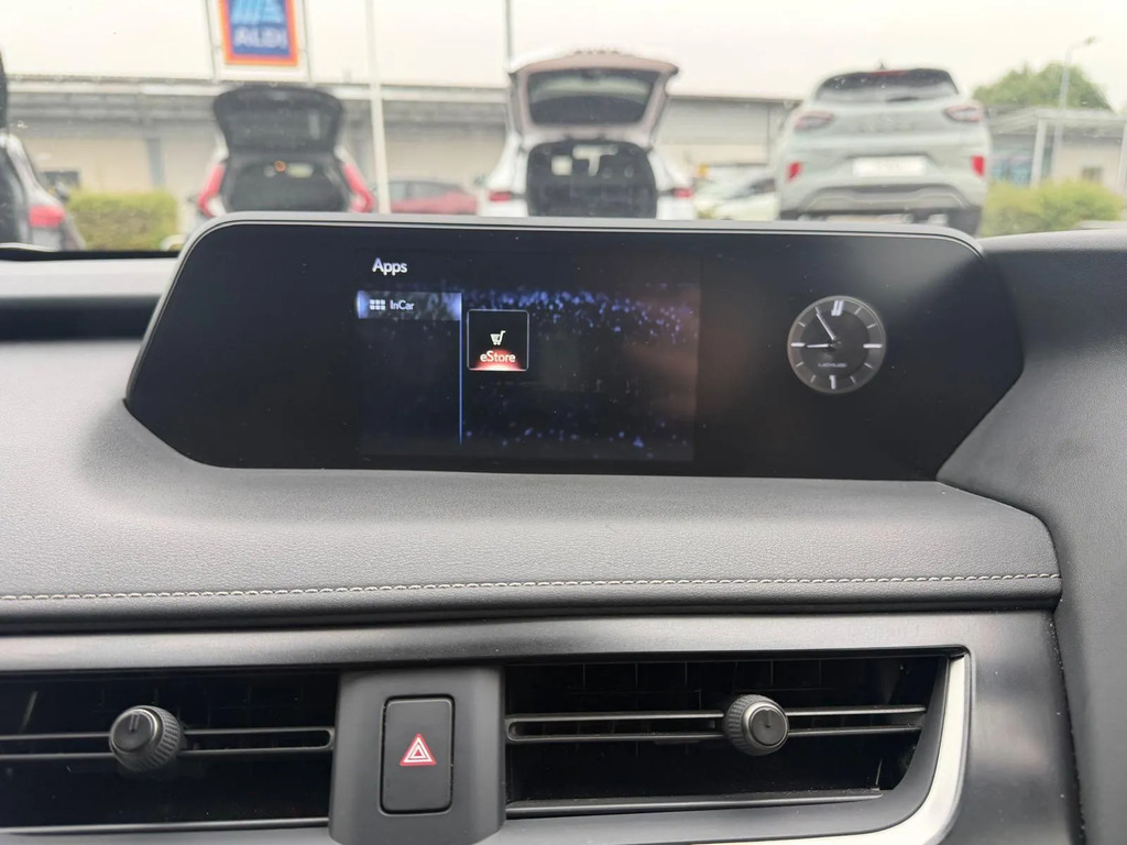 Lexus UX 300E Grey #26