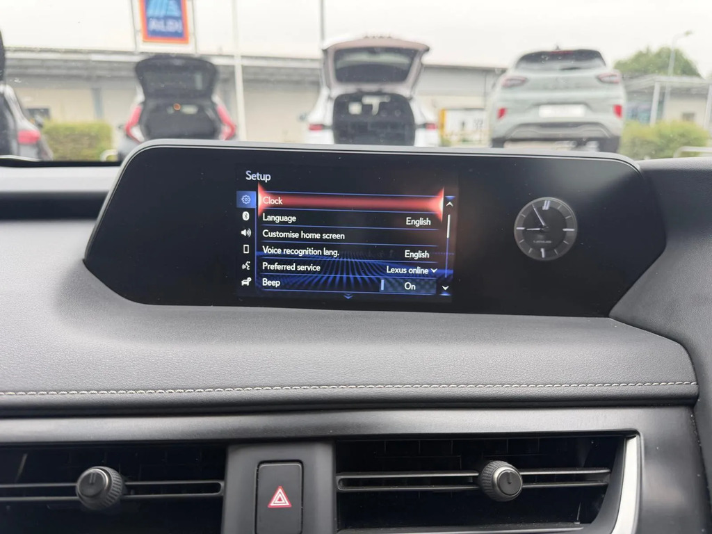 Lexus UX 300E Grey #27