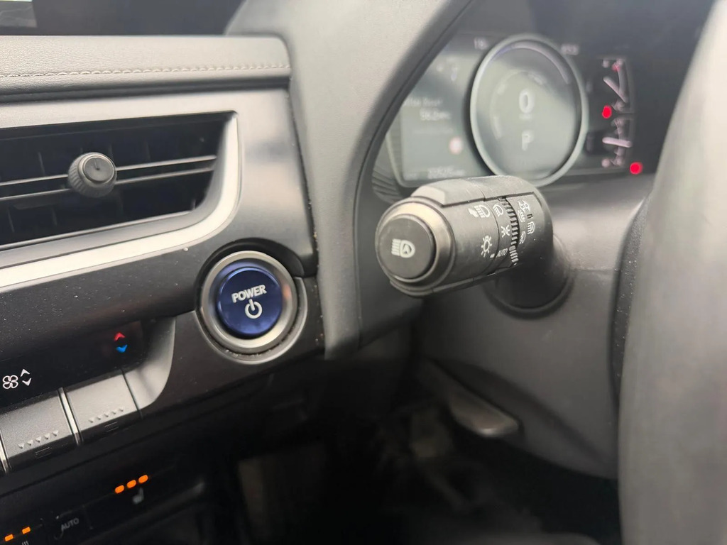 Lexus UX 300E Grey #19