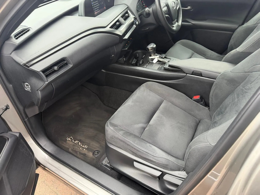 Lexus UX 300E Grey #34