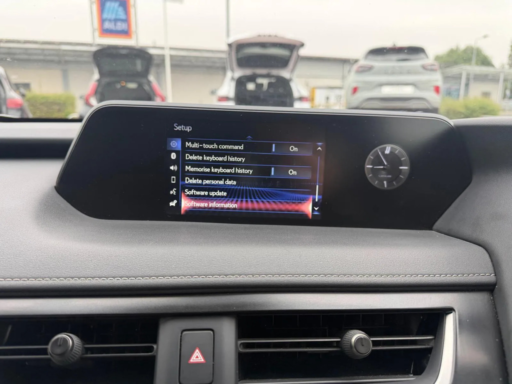 Lexus UX 300E Grey #29