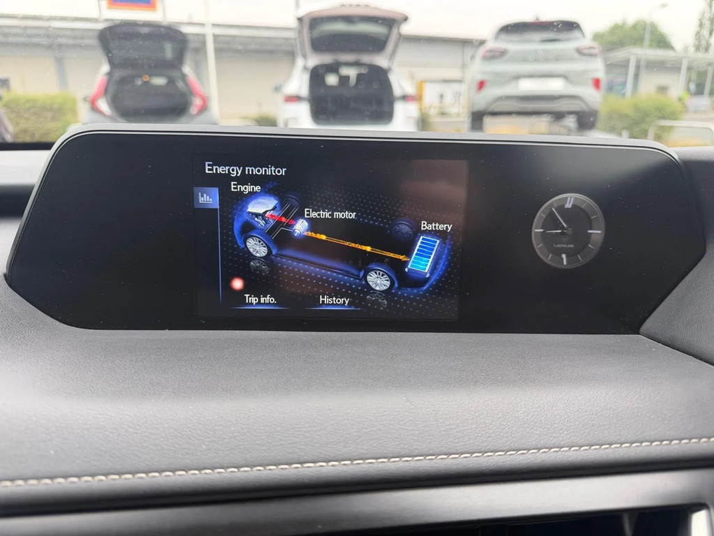 Lexus UX 300E Grey #22