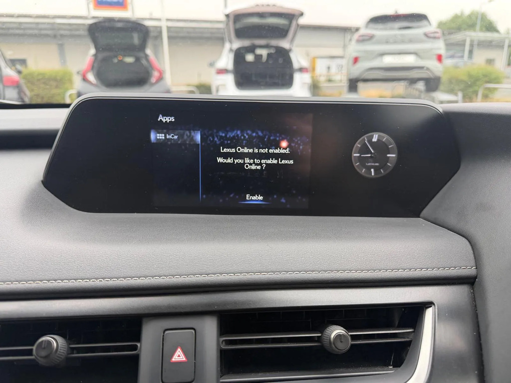 Lexus UX 300E Grey #25