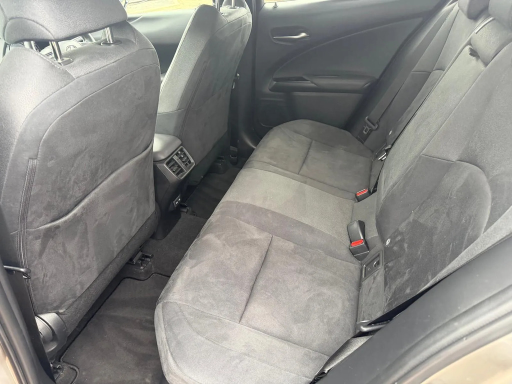 Lexus UX 300E Grey #35