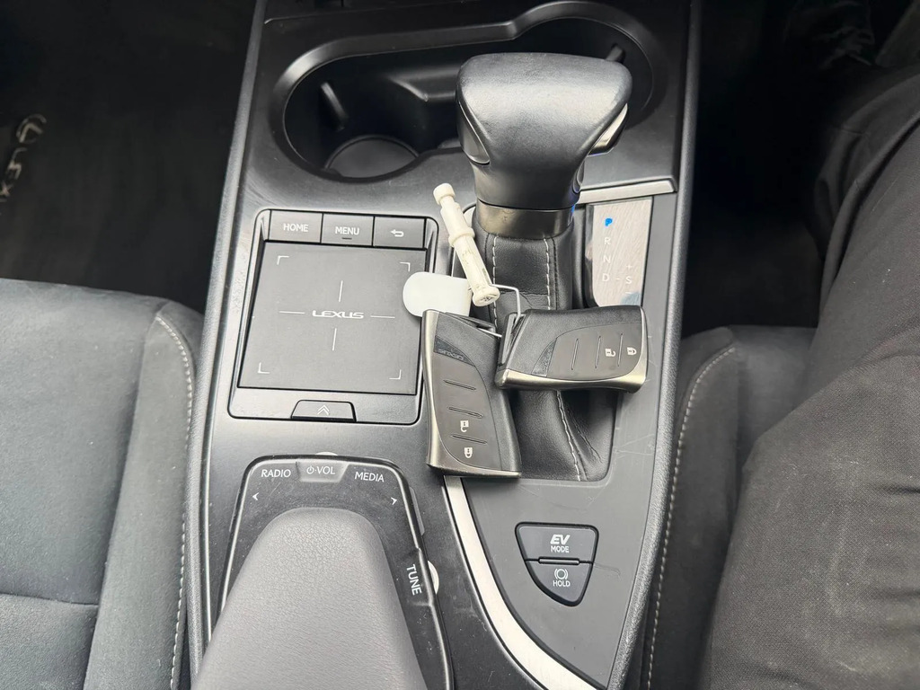 Lexus UX 300E Grey #17