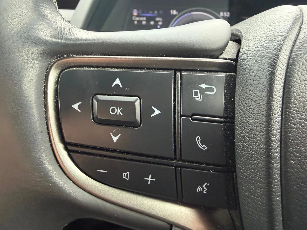 Lexus UX 300E Grey #16
