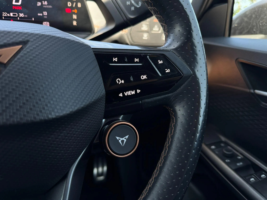 Cupra Born V1 Grey #16