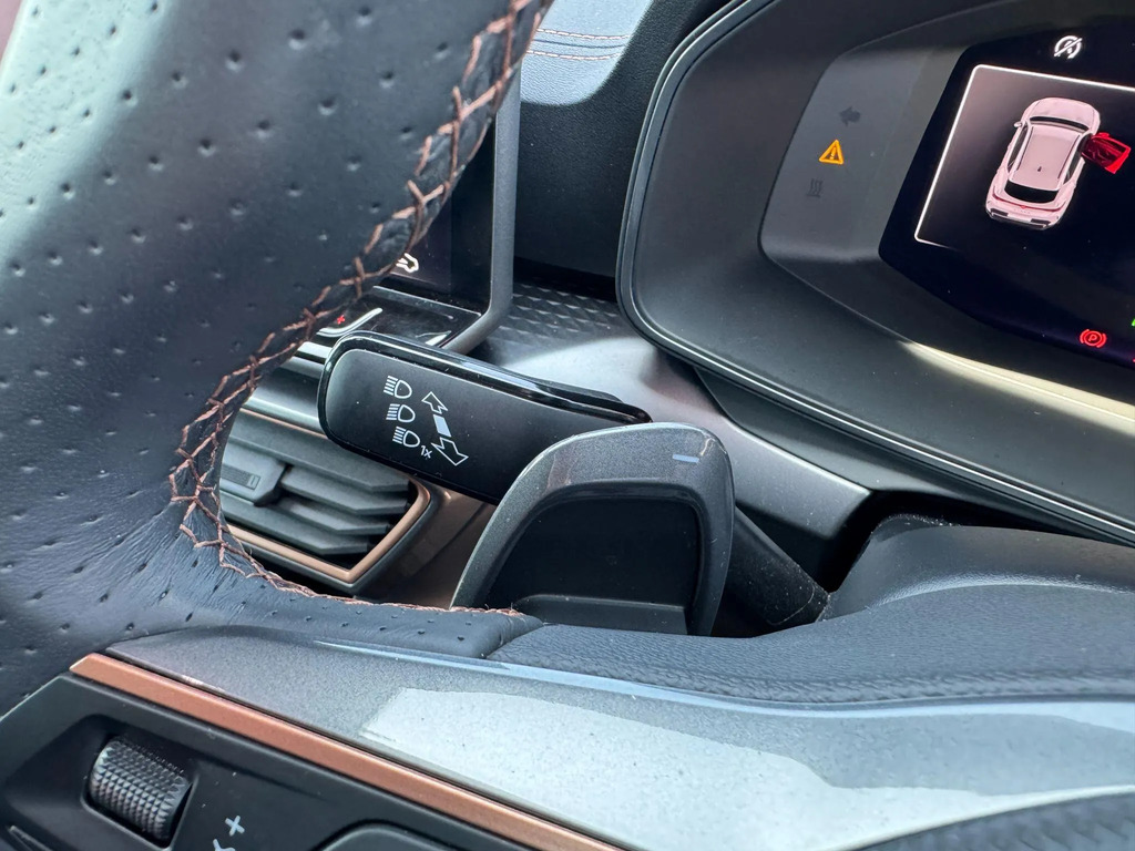 Cupra Formentor V2 Black #28