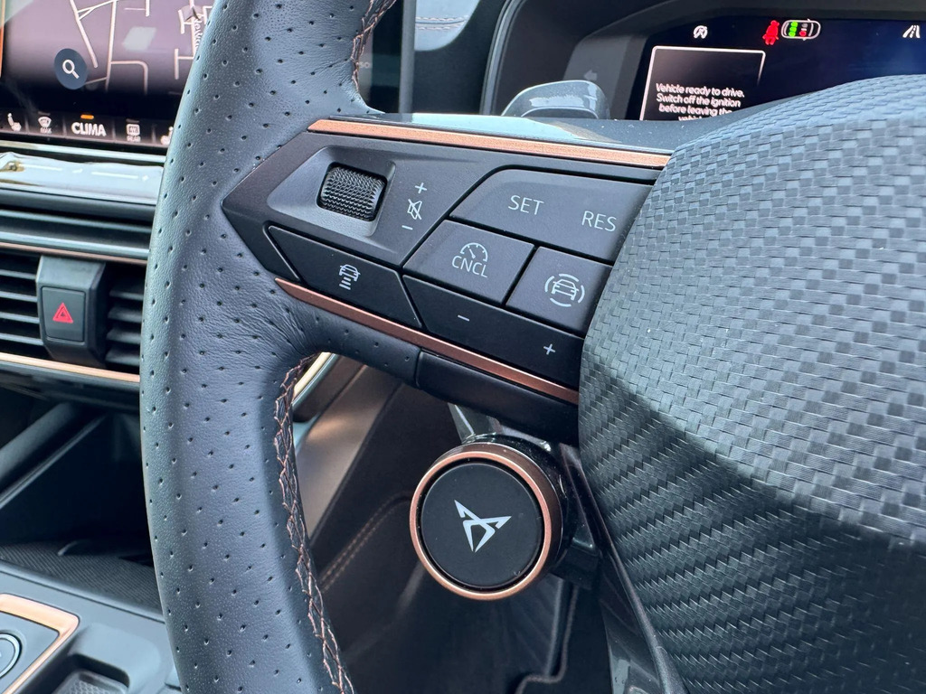 Cupra Formentor V2 Black #18