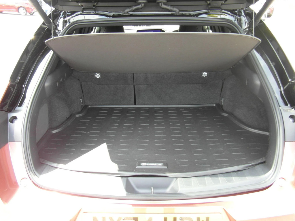 Lexus UX Premium Plus  #27