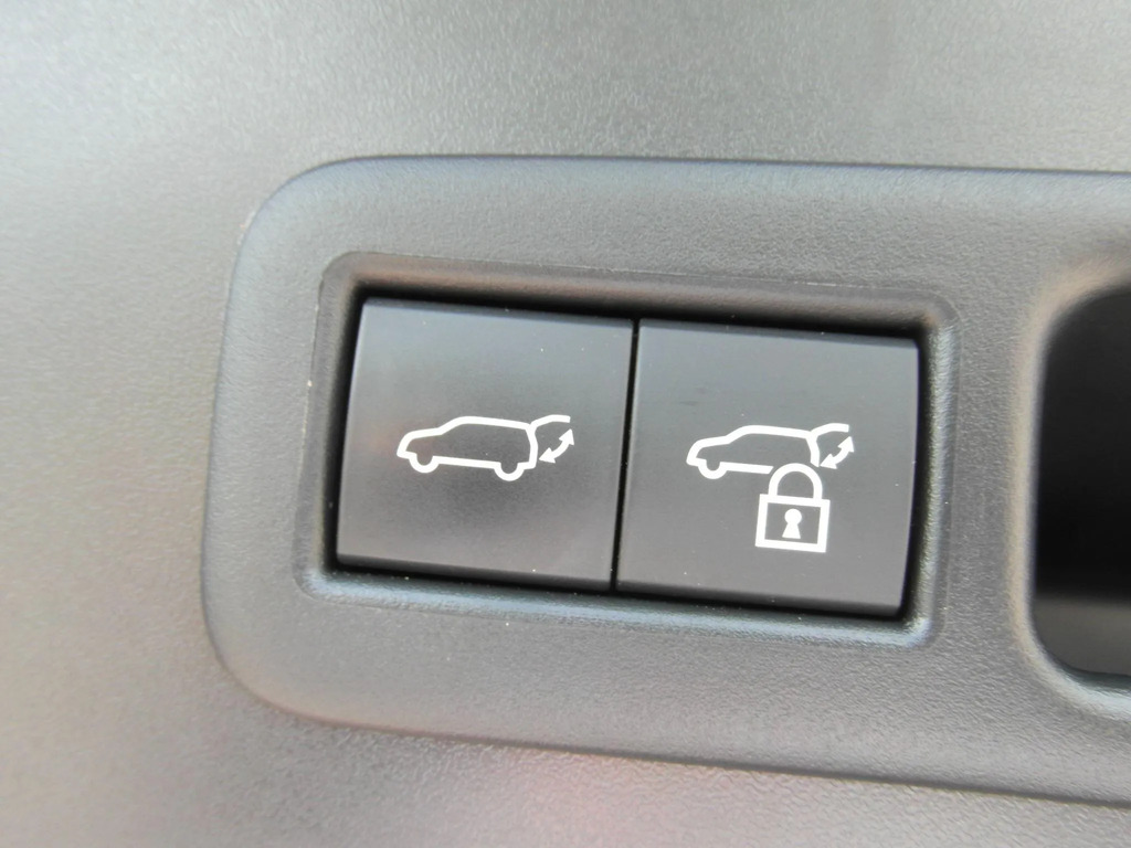 Lexus UX Premium Plus  #10