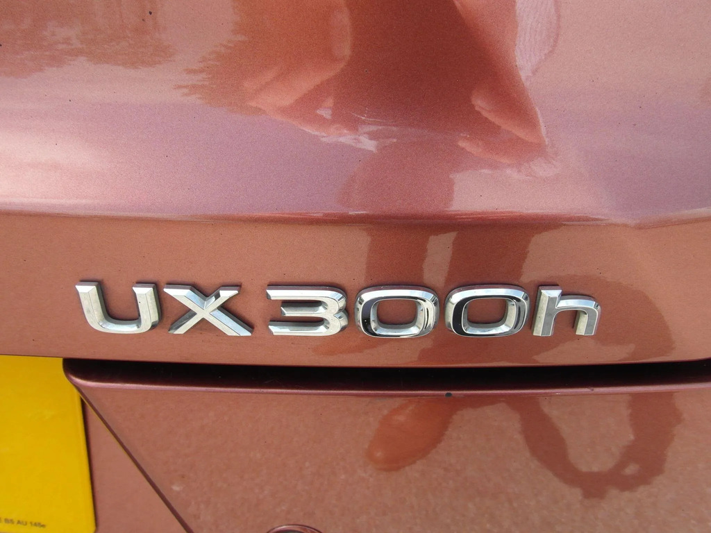 Lexus UX Premium Plus  #32
