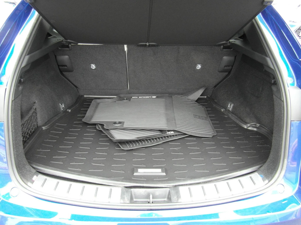 Lexus NX 450H Takumi Silver #35