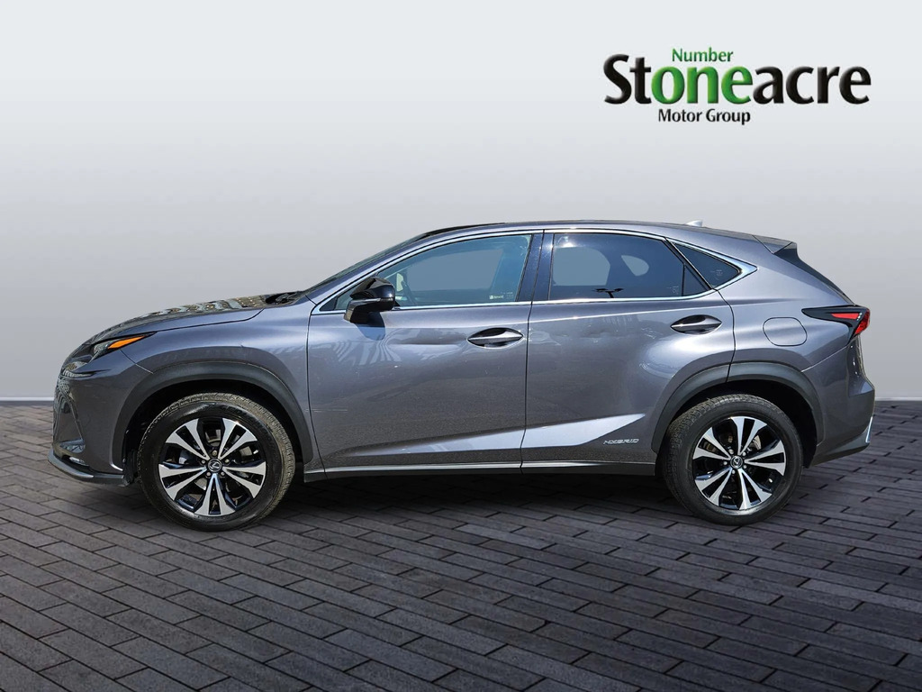 Lexus NX 300H 2.5 Sport Cvt Premium Nav Grey #6