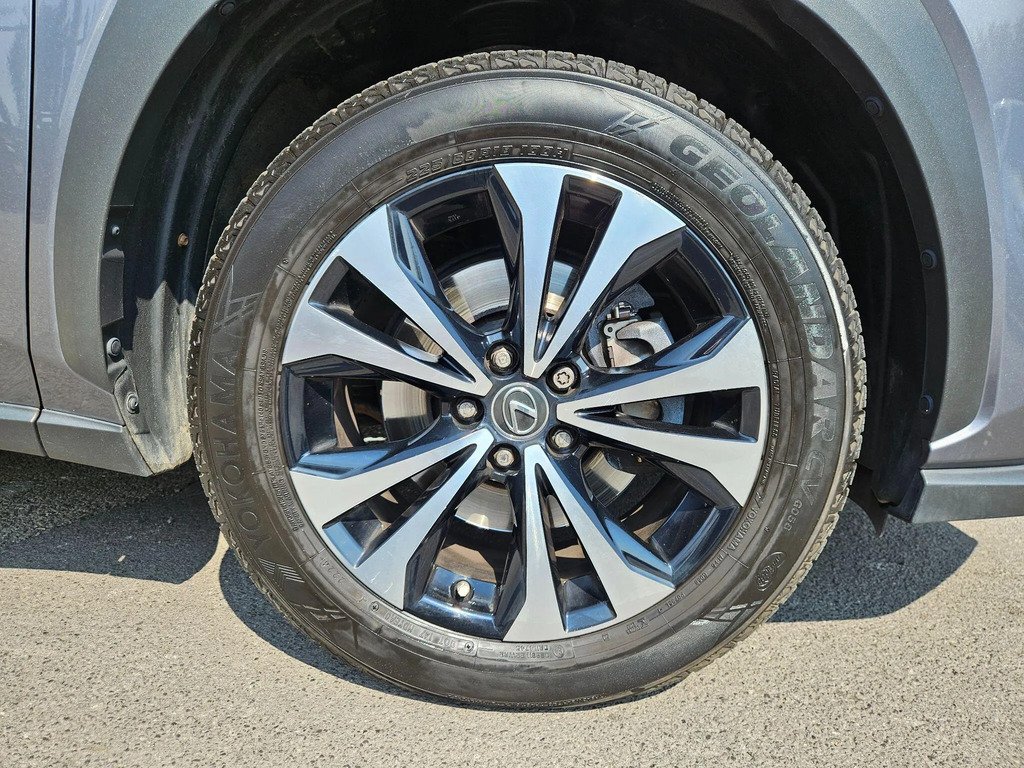 Lexus NX 300H 2.5 Cvt 8 Nav Grey #9