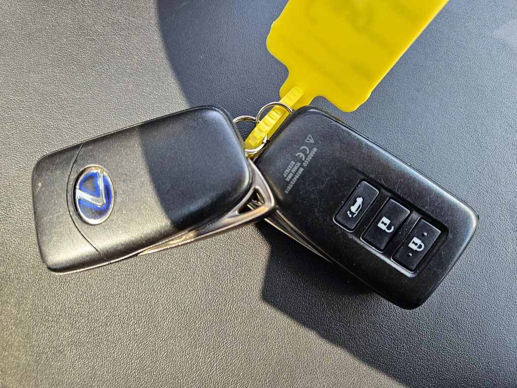 Lexus NX 300H 2.5 Cvt 8 Nav Grey #19