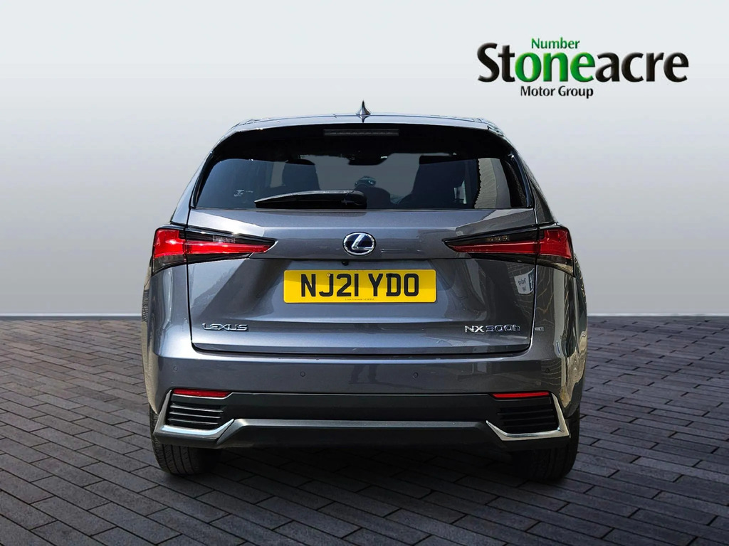 Lexus NX 300H 2.5 Sport Cvt Premium Nav Grey #4