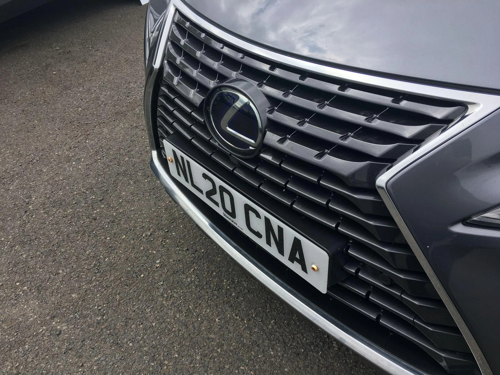 Lexus NX 300H Takumi Red #38