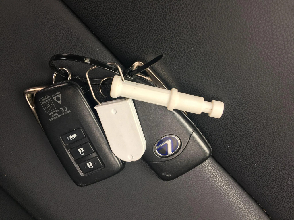 Lexus NX 300H Takumi Red #19