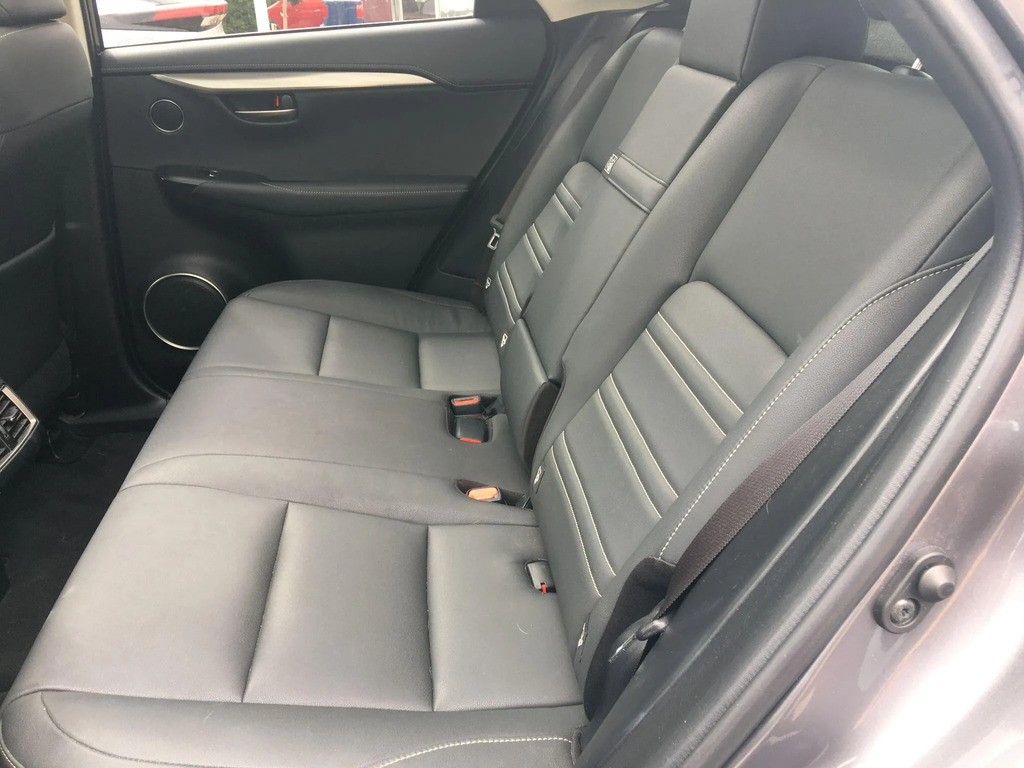 Lexus NX 300H Takumi Red #18