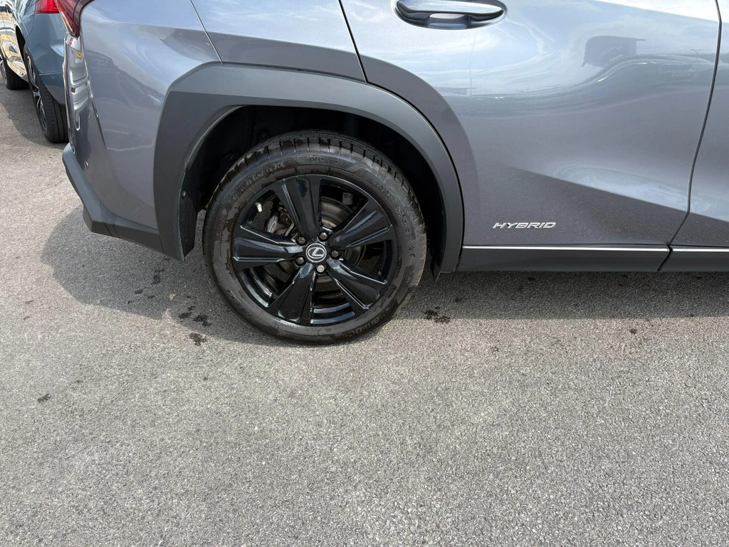 Lexus UX 250H 2.0 Cvt Premium Plus Red #18