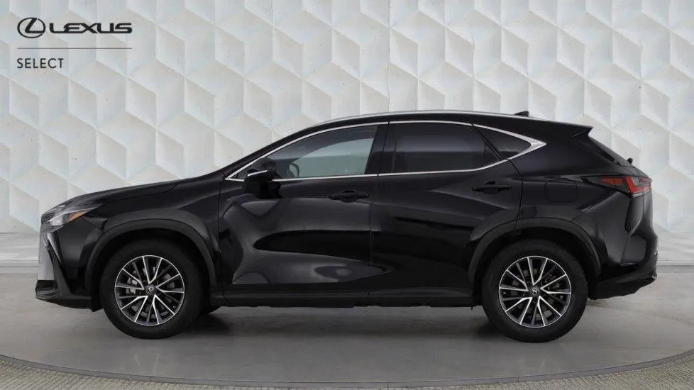 Lexus NX 2.5 350H Premium E-cvt 4Wd Euro 6 Ss  #6