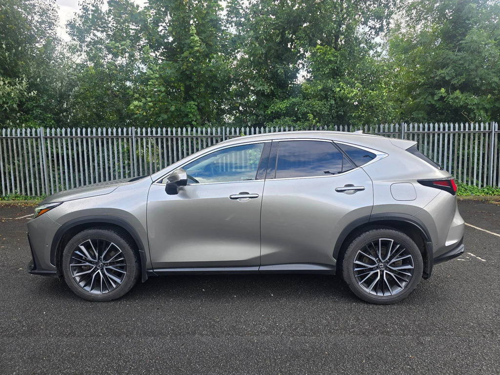 Lexus NX 2.5 450H 18.1Kwh Takumi E-cvt 4Wd Euro 6 Ss #6