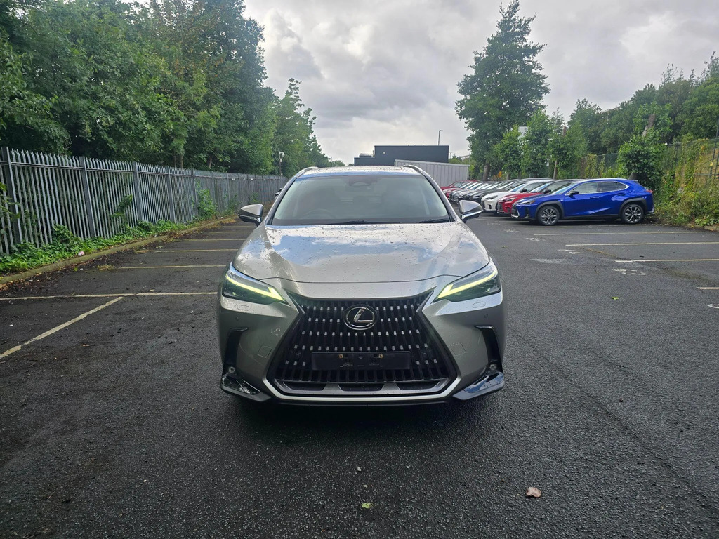 Lexus NX 2.5 350H E-cvt 4Wd Euro 6 Ss Grey #8