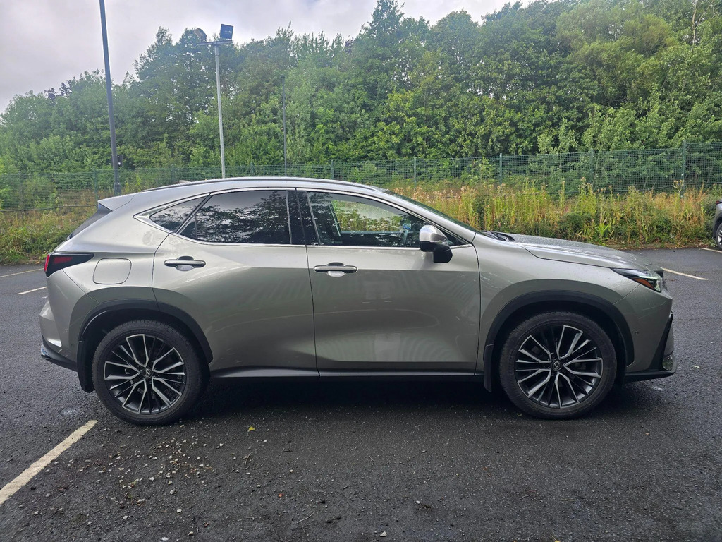 Lexus NX 2.5 450H 18.1Kwh Takumi E-cvt 4Wd Euro 6 Ss #2