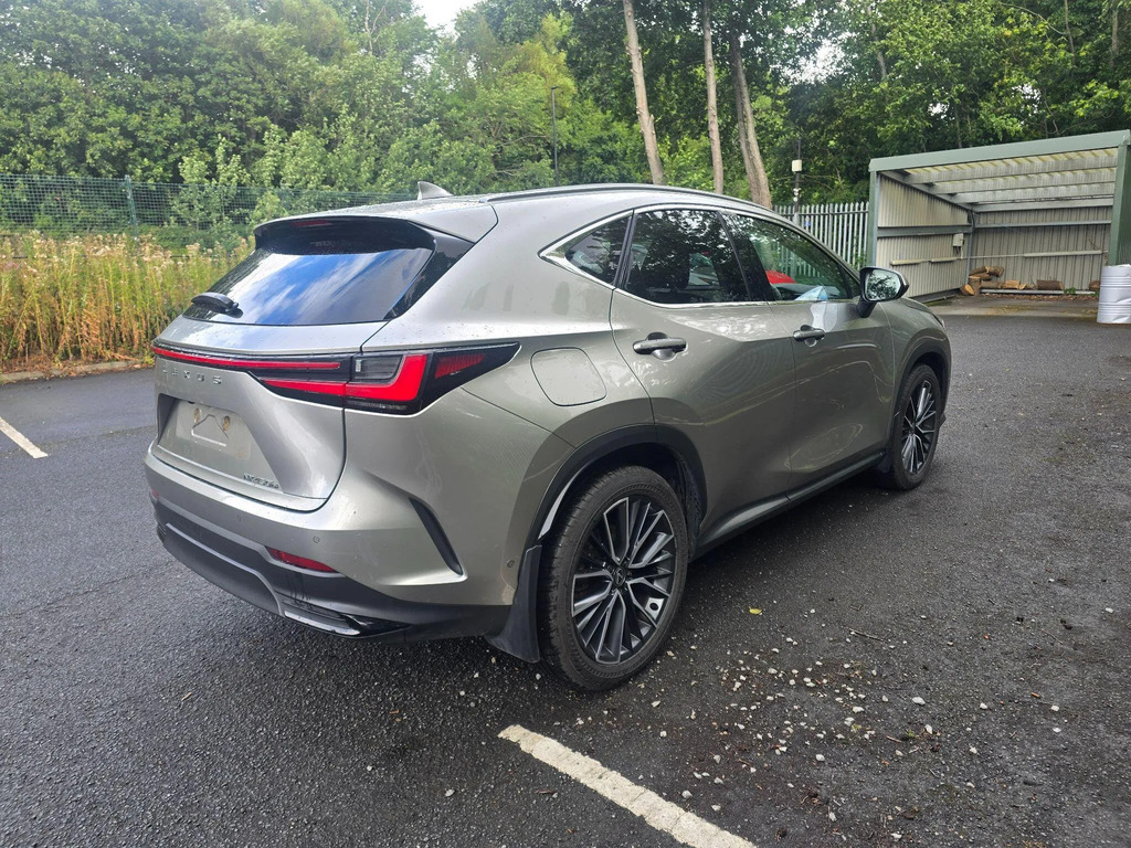 Lexus NX 2.5 450H 18.1Kwh Takumi E-cvt 4Wd Euro 6 Ss #3