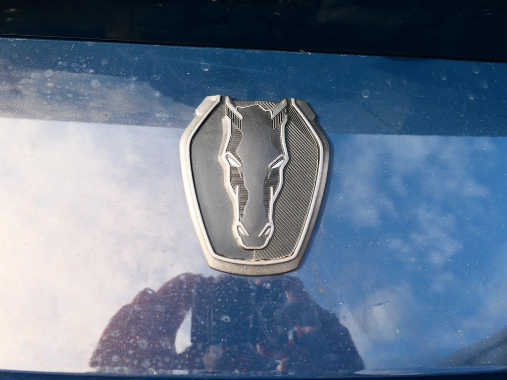 Ford Mustang Gt Fastback 5.0 V8 446Ps 6 Spd 24.5 My Blue #11