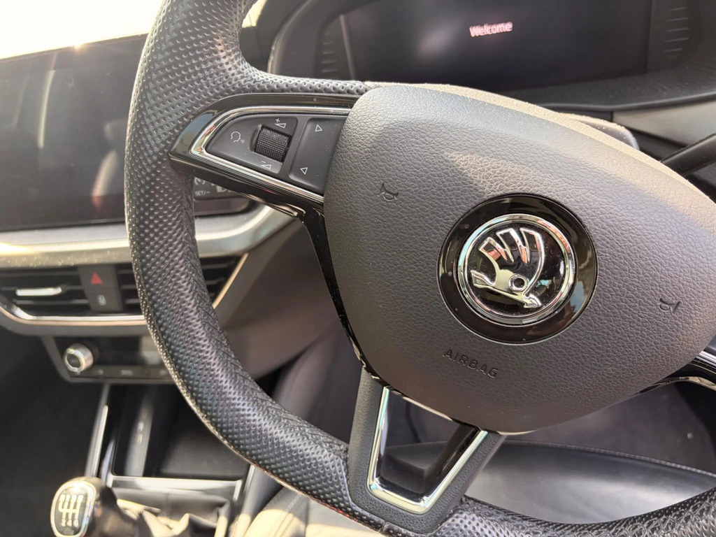 Skoda Scala 1.0 Tsi Se L Dsg Grey #26