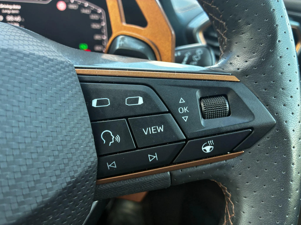 Cupra Formentor 1.4 Ehybrid 245 Vz2 Dsg Estate Grey #13