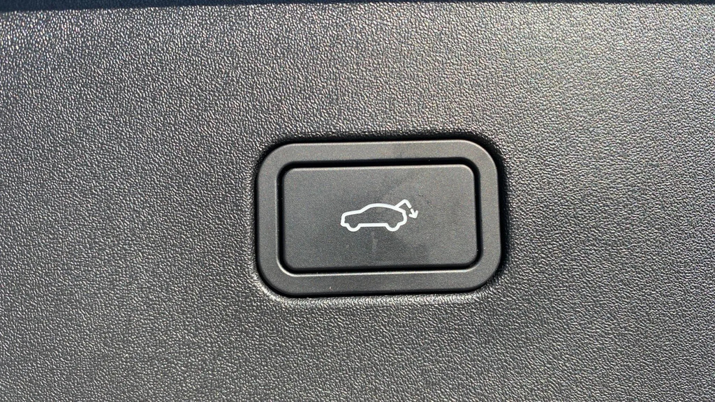 Volvo EX30 Ex30 200Kw Sm Extended Range Ultra 69Kwh Grey #32