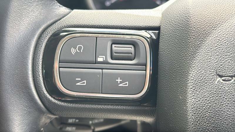 Citroen C3 Aircross 1.2 Puretech 110 Rip Curl Grey #19