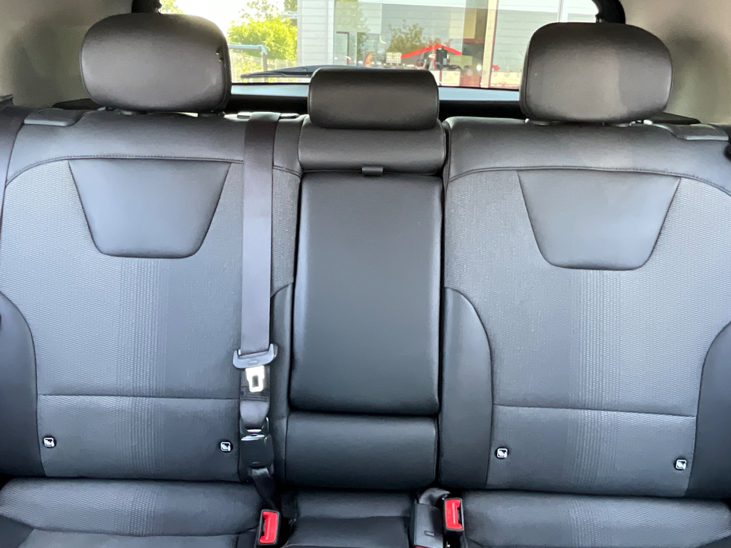 Kia e-Niro 150Kw 4-Plus 64Kwh Black #31