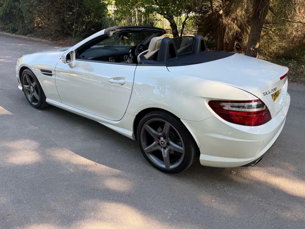 Mercedes-Benz SLK 1.8 Slk200 Blueefficiency Amg Sport G-tronic Euro White #6