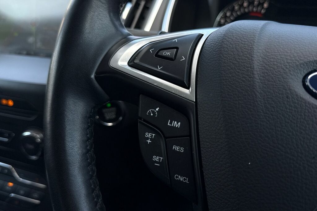 Ford S-Max  Grey #31