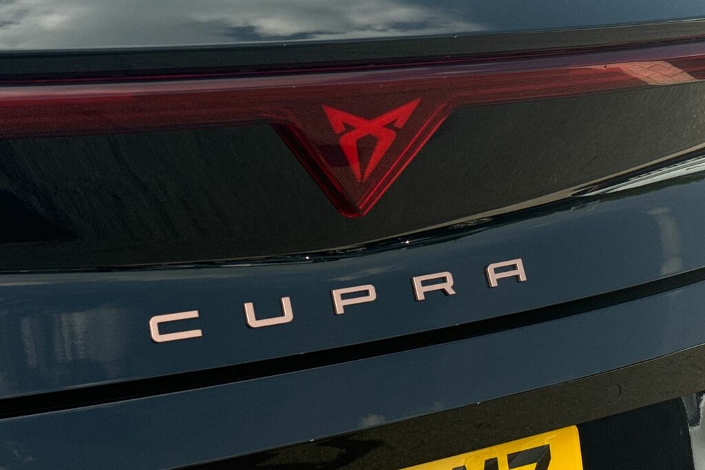 Cupra Leon Cupra Leon Estate 1.5 Etsi 150 V3 Dsg Blue #24