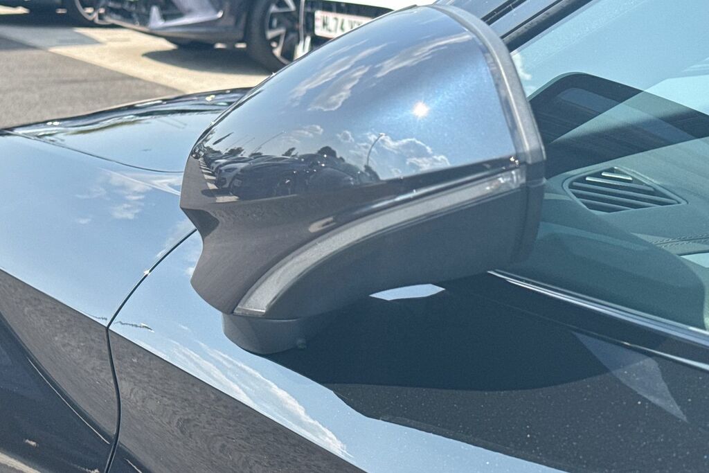 Cupra Leon Cupra Leon Estate 1.5 Etsi 150 V3 Dsg Blue #25