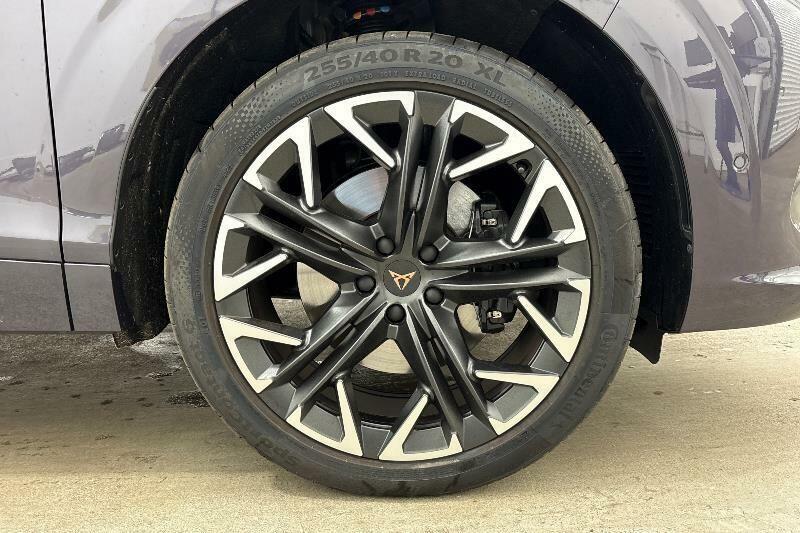 Cupra Terramar 2.0 Tsi Vz2 Dsg 4Drive Euro 6 Ss Purple #6